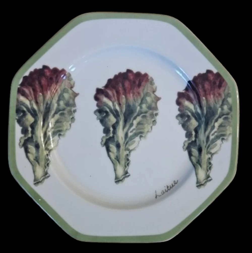*NWOT William Sonoma Vegetable Garden Salad Plates Set Of 6